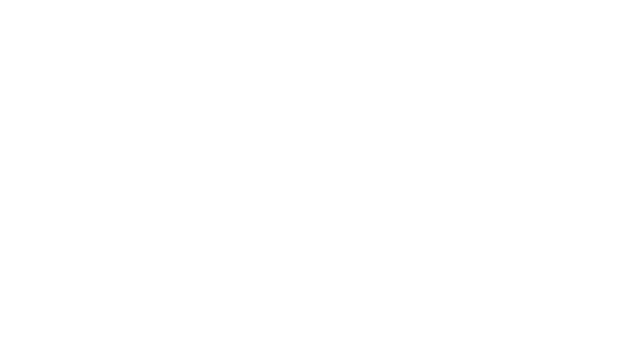 Le Rox